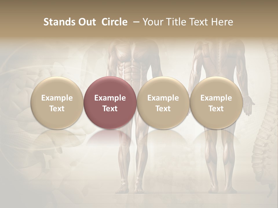 Stomach Injury Posture PowerPoint Template