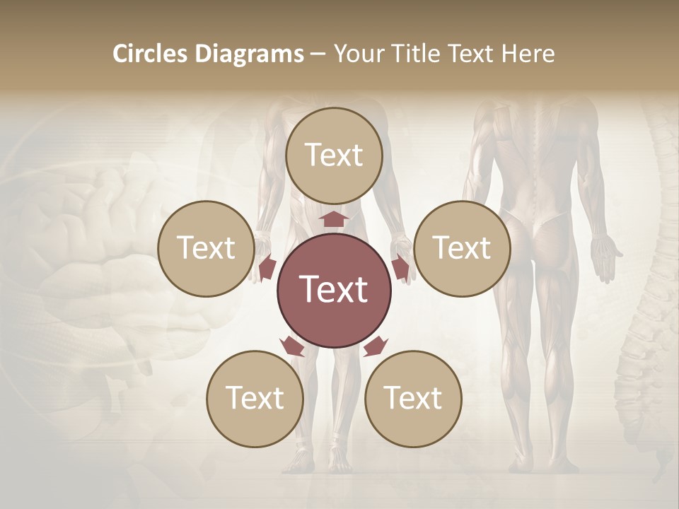 Stomach Injury Posture PowerPoint Template