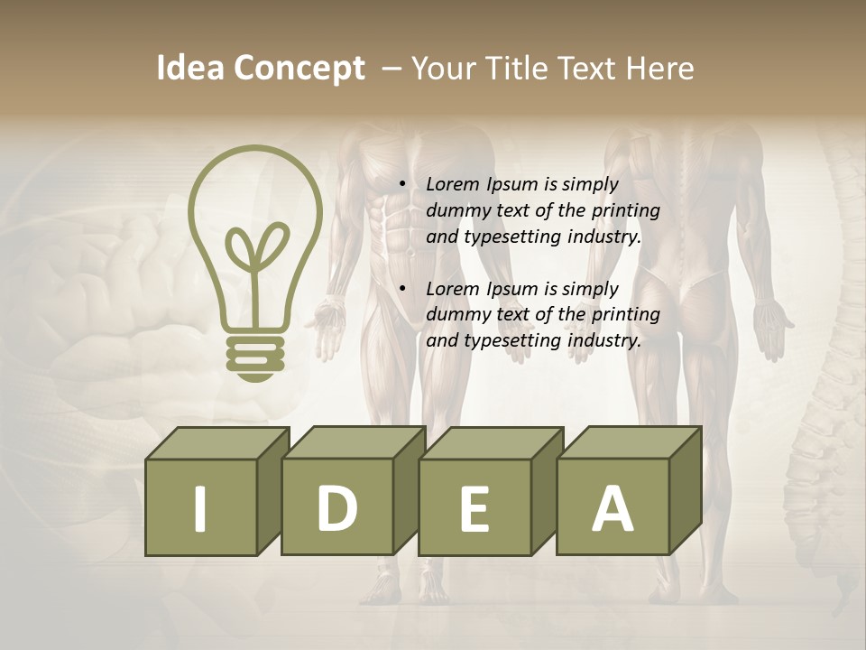 Stomach Injury Posture PowerPoint Template