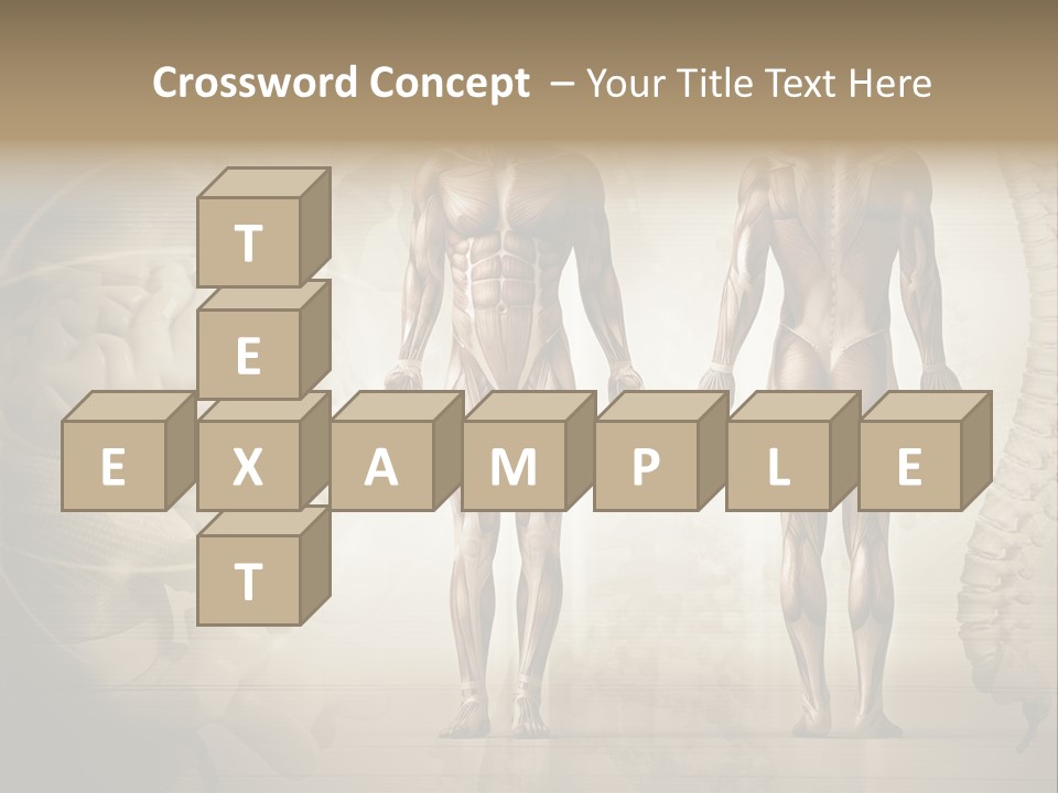 Stomach Injury Posture PowerPoint Template