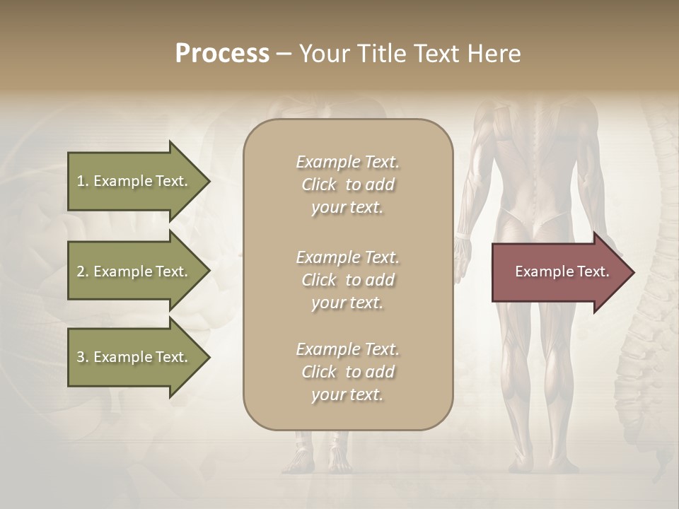 Stomach Injury Posture PowerPoint Template