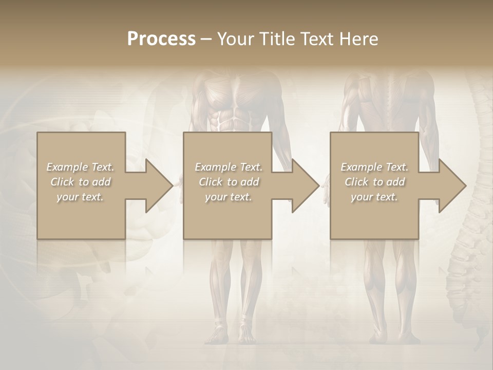 Stomach Injury Posture PowerPoint Template