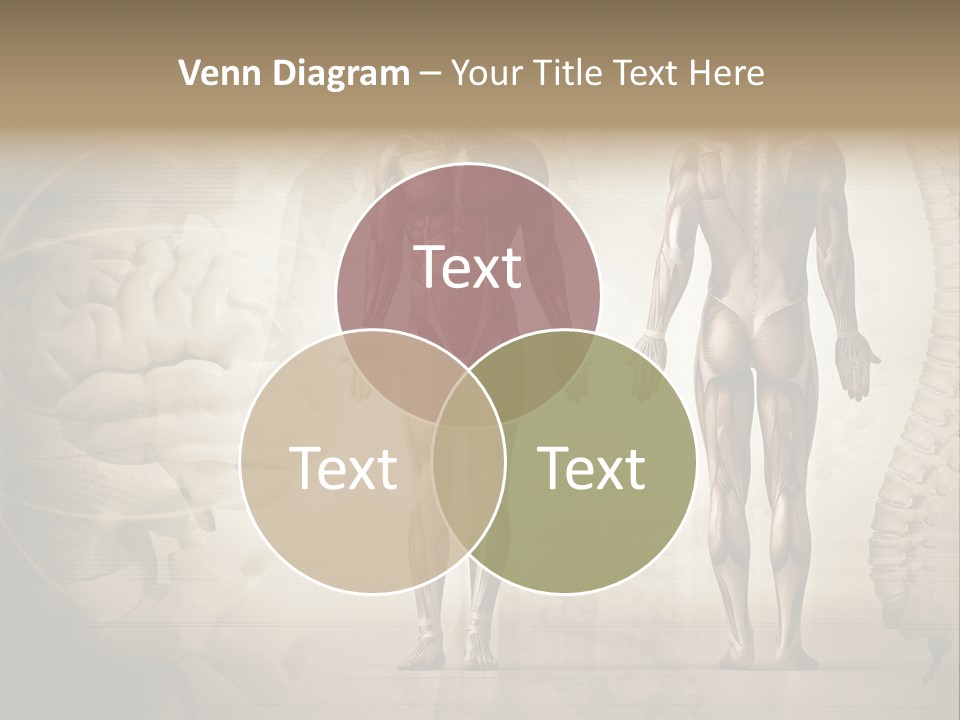 Stomach Injury Posture PowerPoint Template