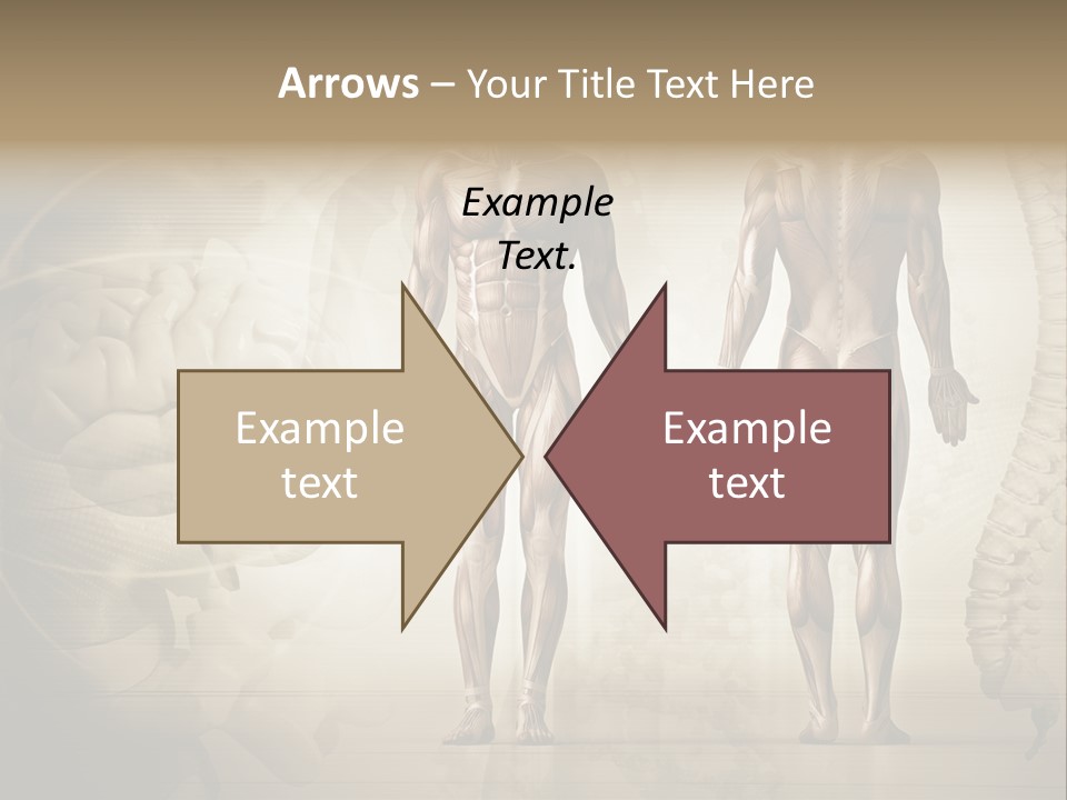 Stomach Injury Posture PowerPoint Template