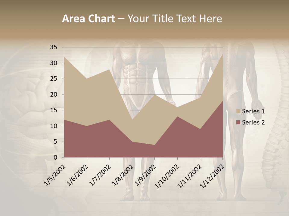 Stomach Injury Posture PowerPoint Template