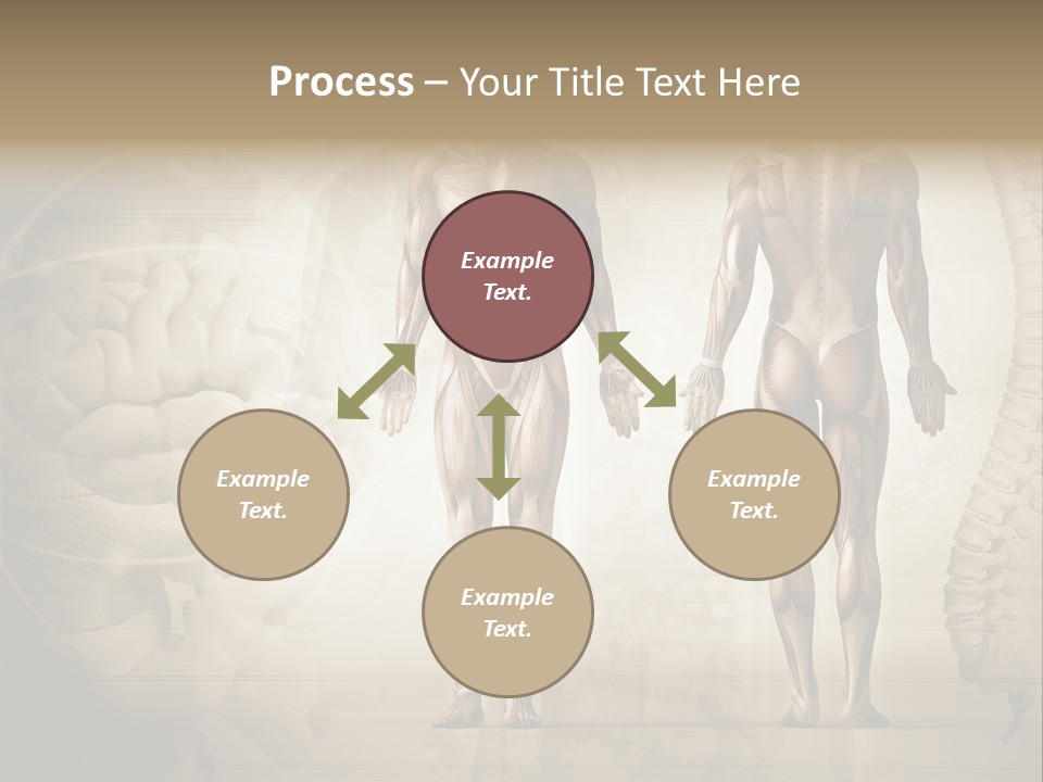 Stomach Injury Posture PowerPoint Template