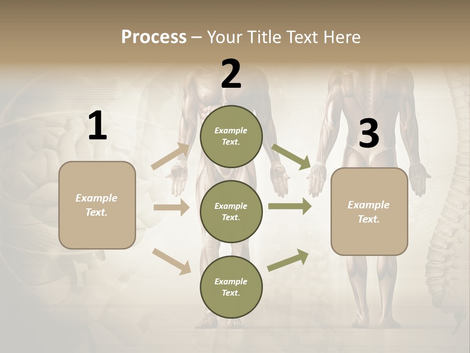 Stomach Injury Posture PowerPoint Template
