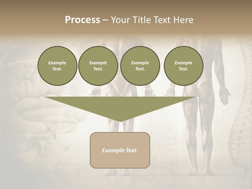 Stomach Injury Posture PowerPoint Template