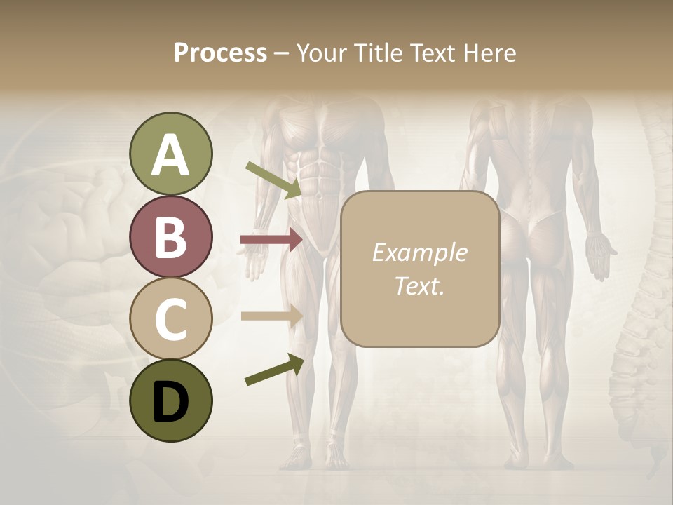 Stomach Injury Posture PowerPoint Template