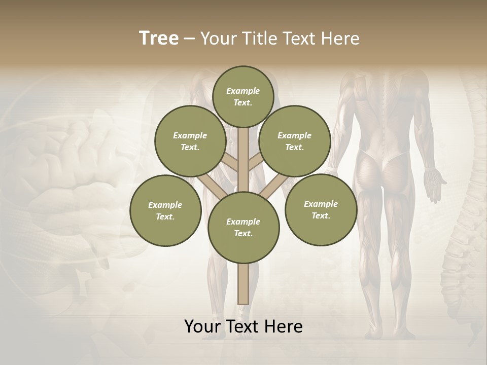 Stomach Injury Posture PowerPoint Template