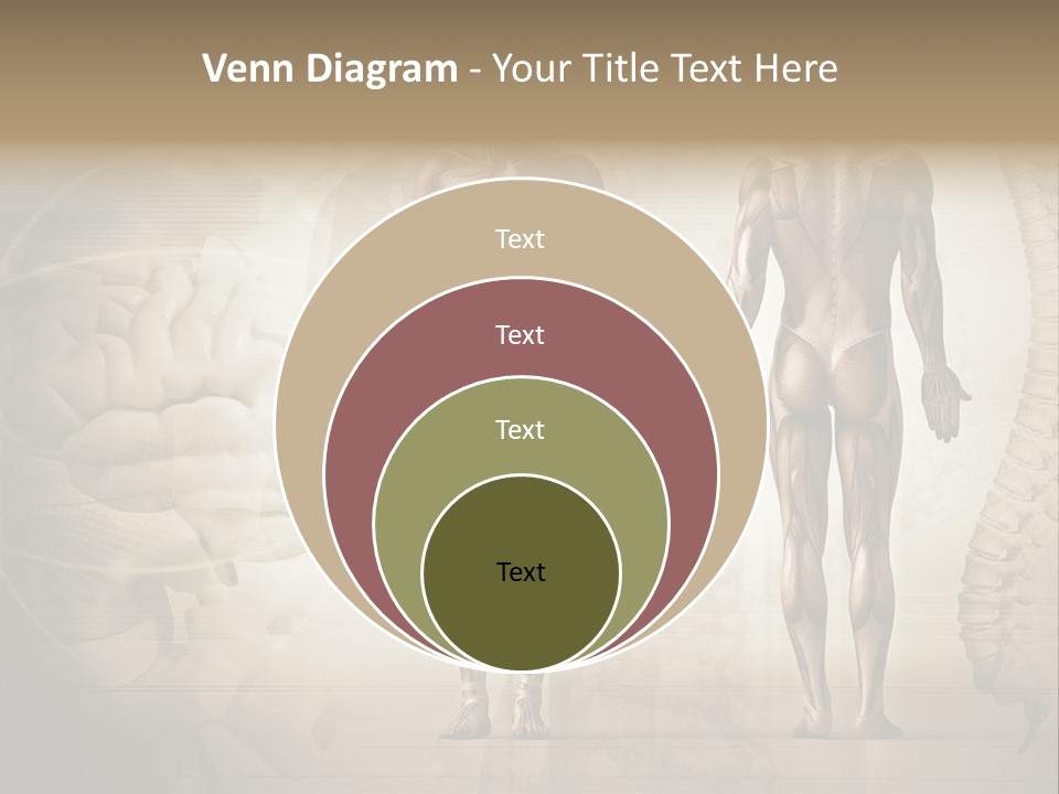 Stomach Injury Posture PowerPoint Template