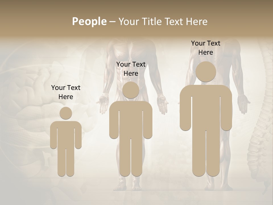 Stomach Injury Posture PowerPoint Template
