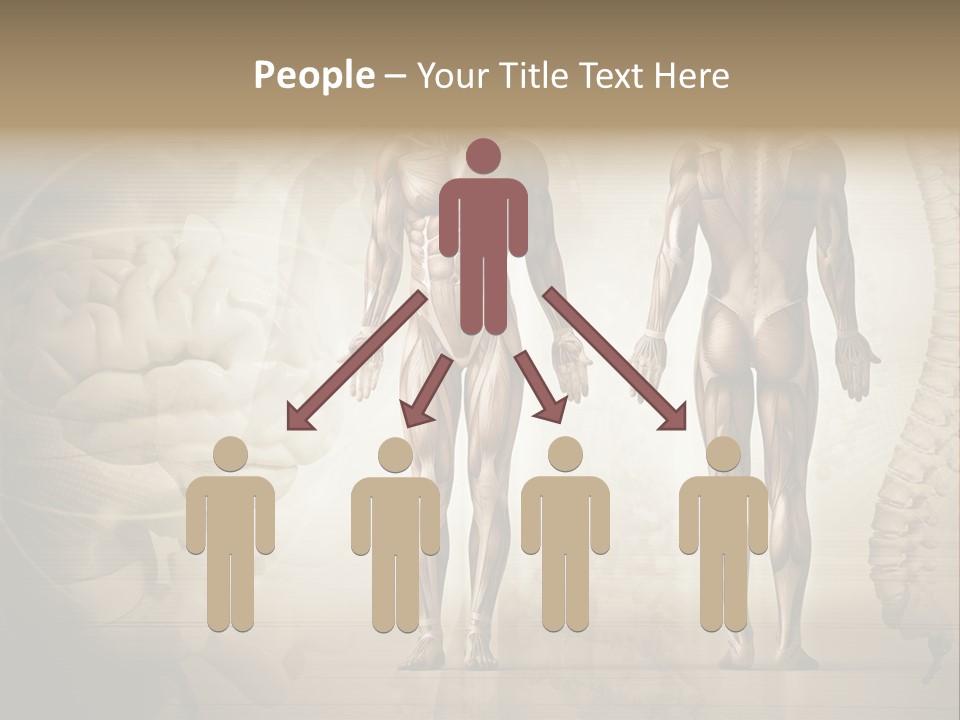 Stomach Injury Posture PowerPoint Template