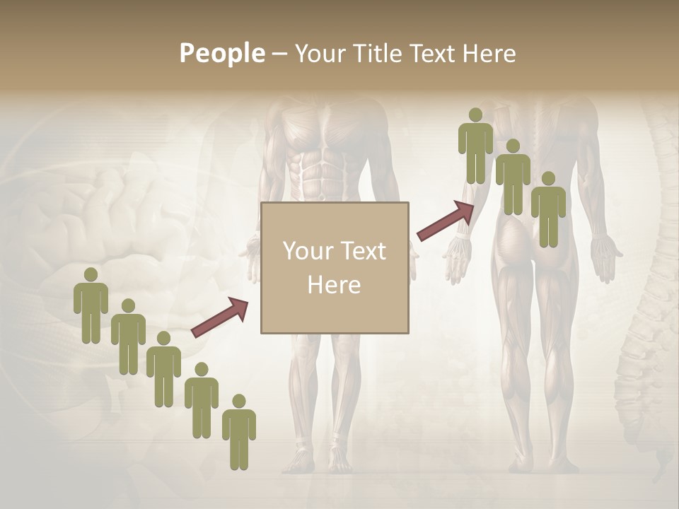 Stomach Injury Posture PowerPoint Template