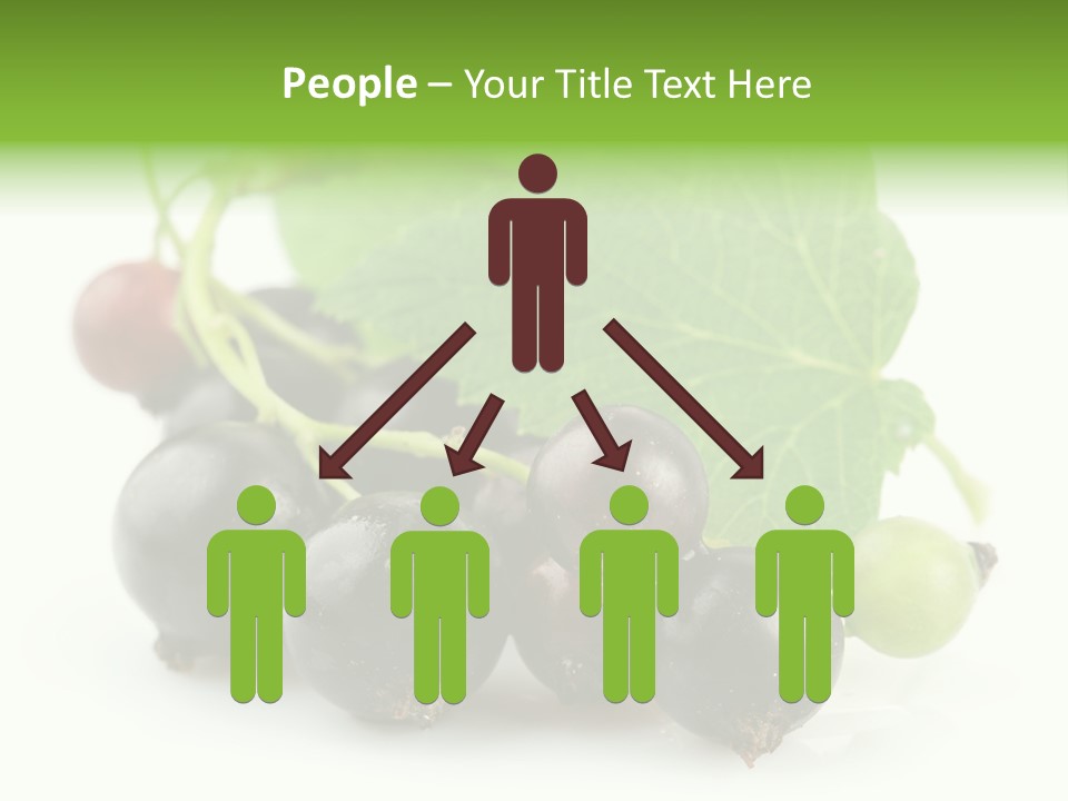 Vitamin Natural Food PowerPoint Template