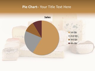 Studio Camembert Dairy Product PowerPoint Template