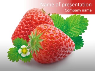 Juicy Red Fresh PowerPoint Template