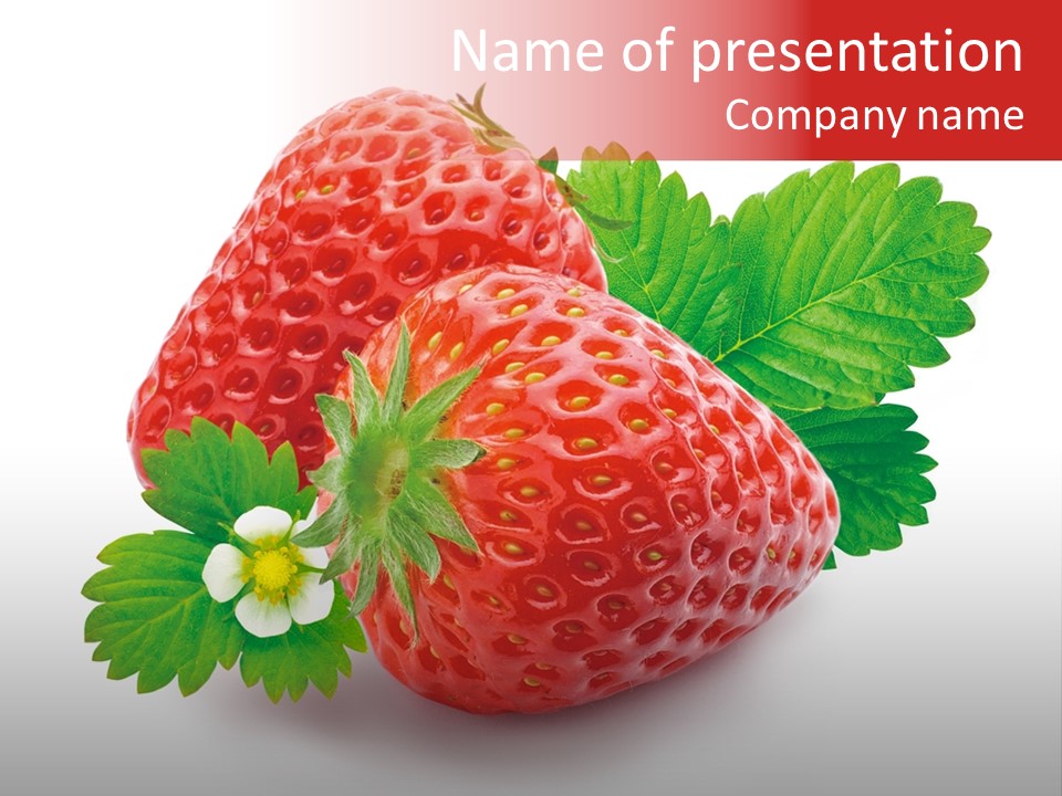 Juicy Red Fresh PowerPoint Template