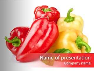 Spice Collection Composition PowerPoint Template