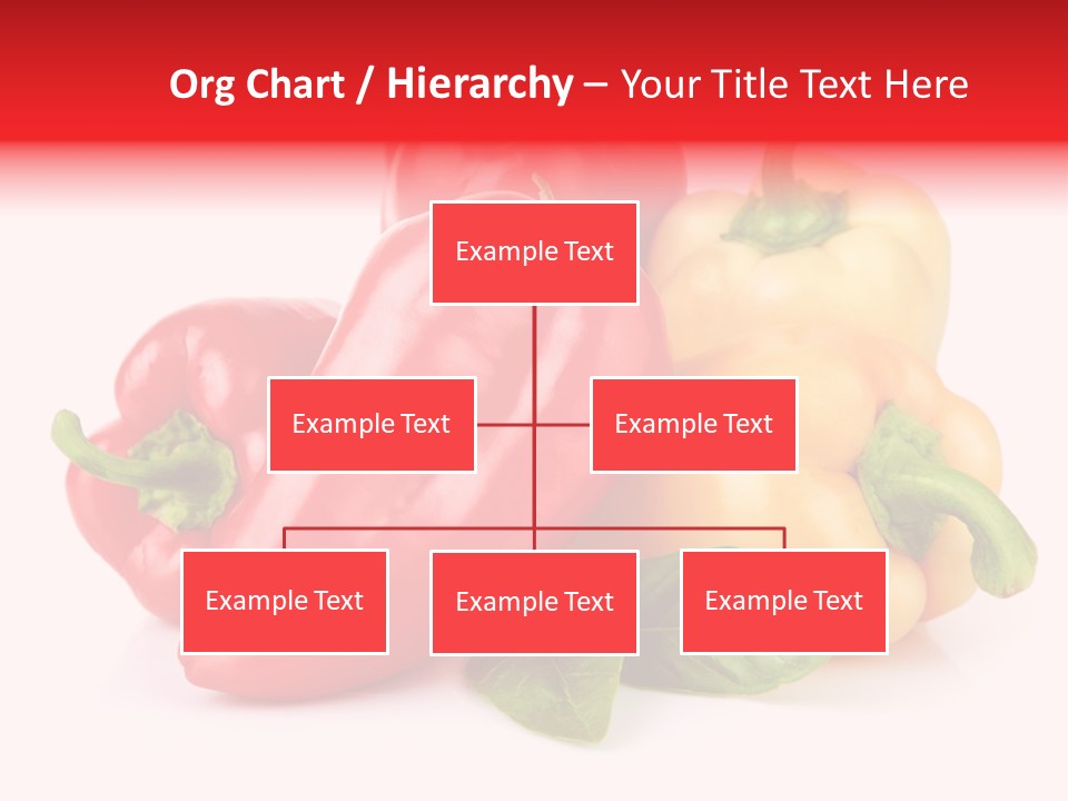 Spice Collection Composition PowerPoint Template