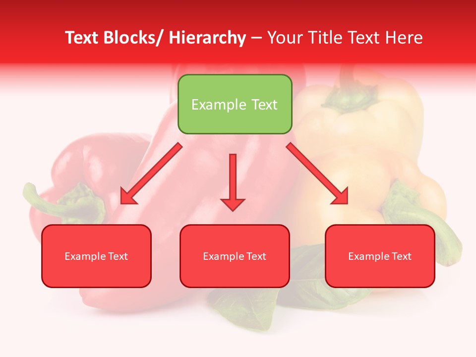 Spice Collection Composition PowerPoint Template