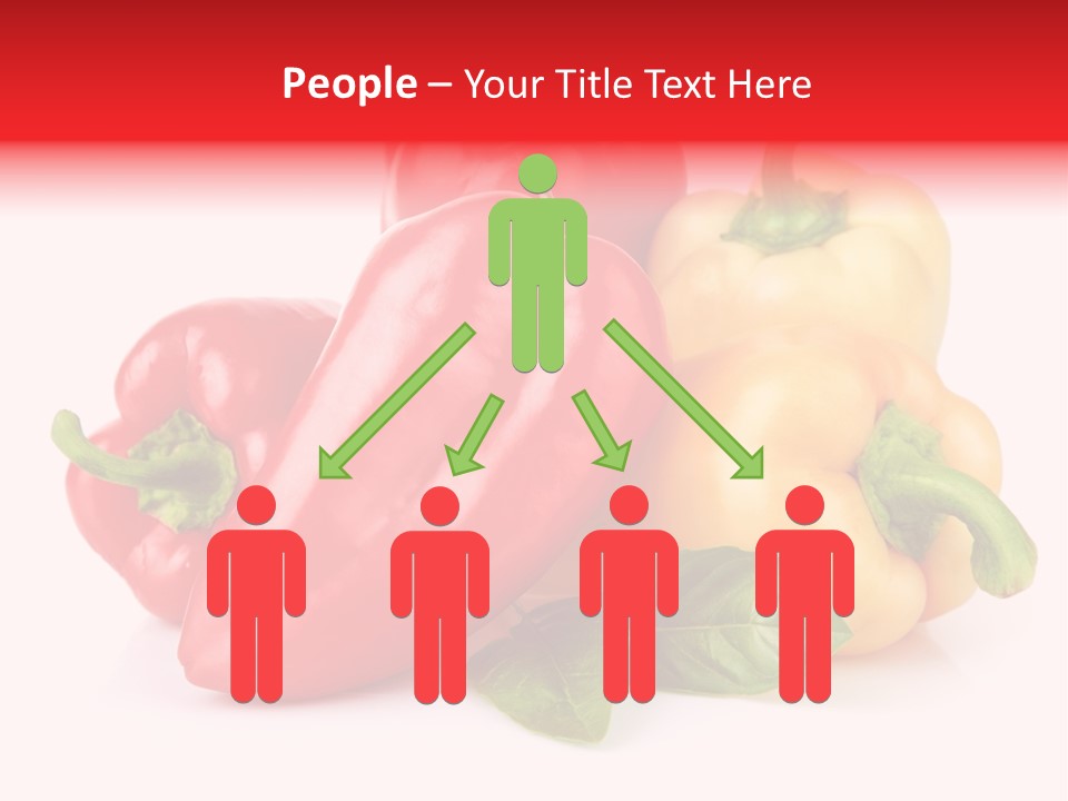 Spice Collection Composition PowerPoint Template