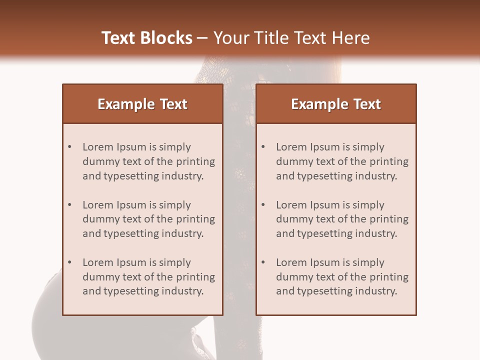 Flirt Attractive Studio PowerPoint Template