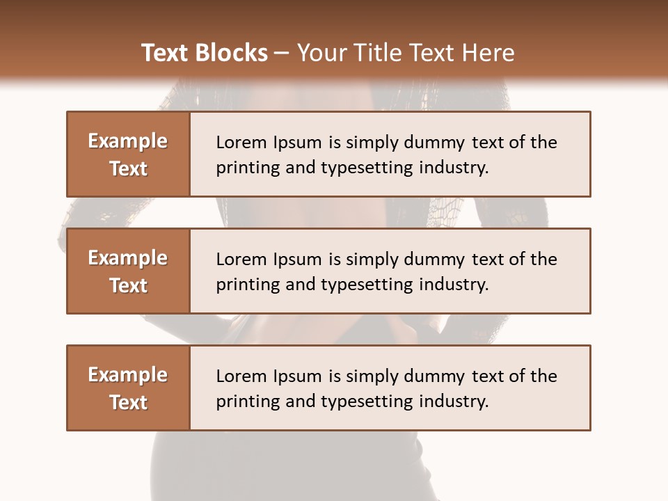 Studio Attractive Photograph PowerPoint Template