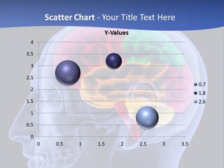 Stem Lobe Cerebral PowerPoint Template