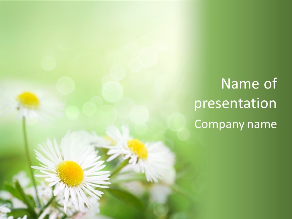 Defocused Close Up Fragrance PowerPoint Template