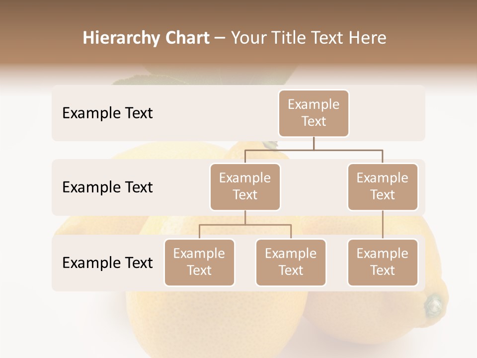 Leaf Food Half PowerPoint Template