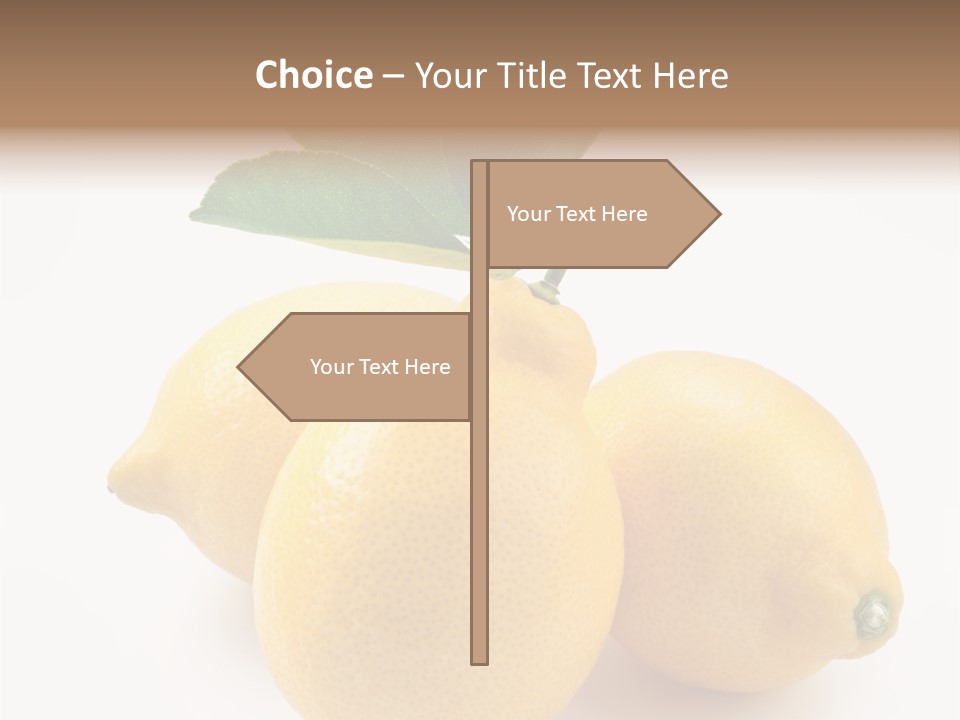 Leaf Food Half PowerPoint Template