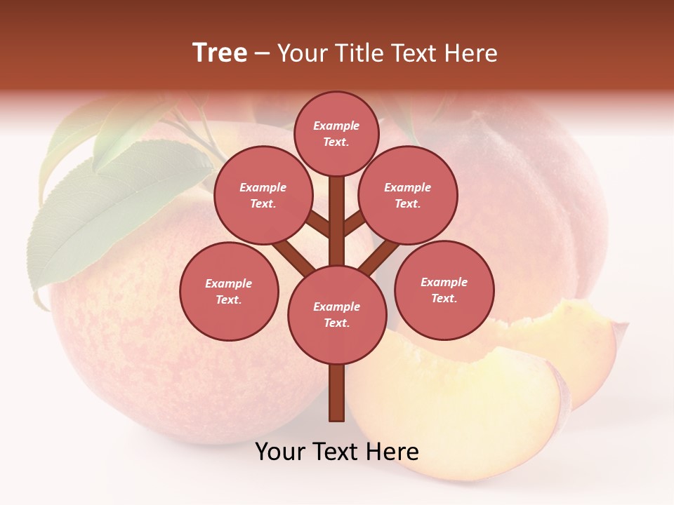 Yellow Fresh Half PowerPoint Template