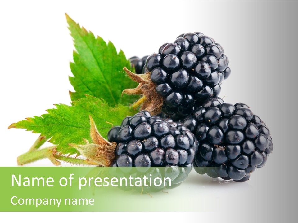 Healthy Eating Black Branch PowerPoint Template