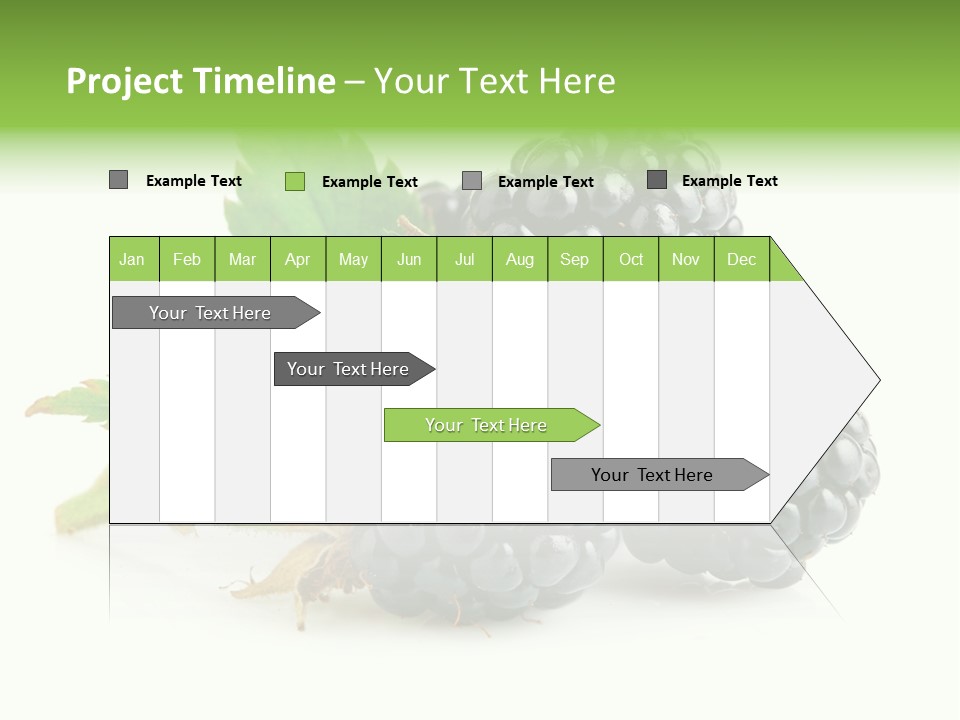 Healthy Eating Black Branch PowerPoint Template