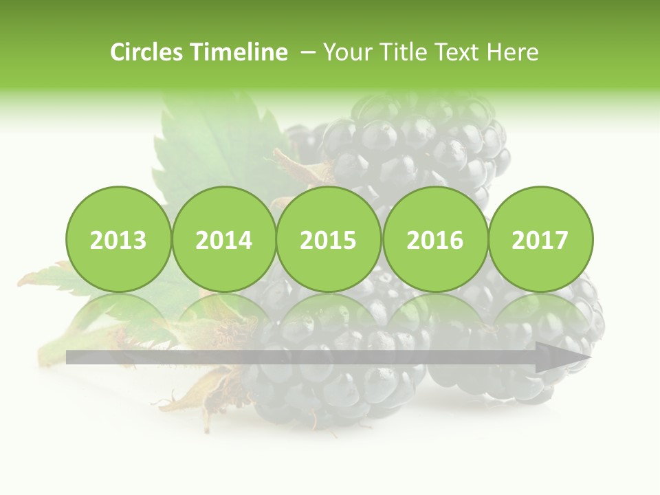 Healthy Eating Black Branch PowerPoint Template