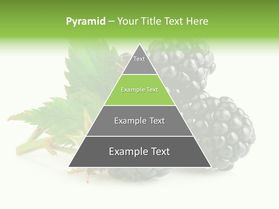 Healthy Eating Black Branch PowerPoint Template