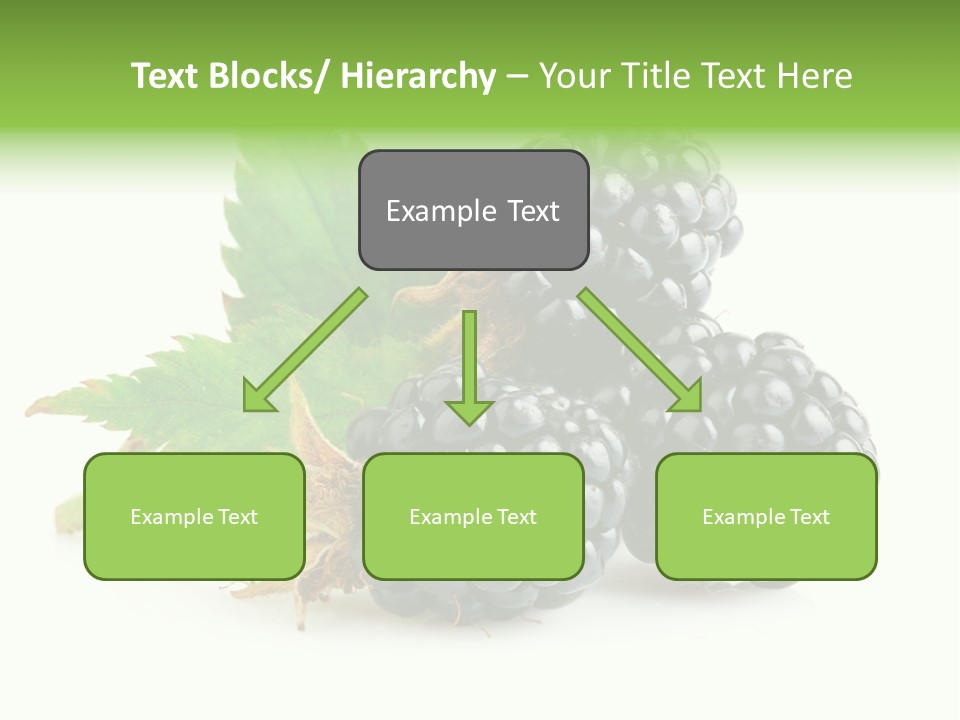 Healthy Eating Black Branch PowerPoint Template