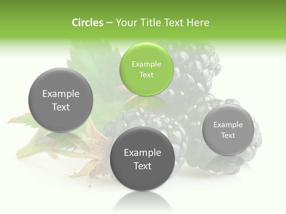 Healthy Eating Black Branch PowerPoint Template