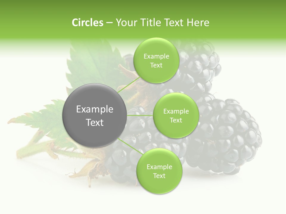 Healthy Eating Black Branch PowerPoint Template