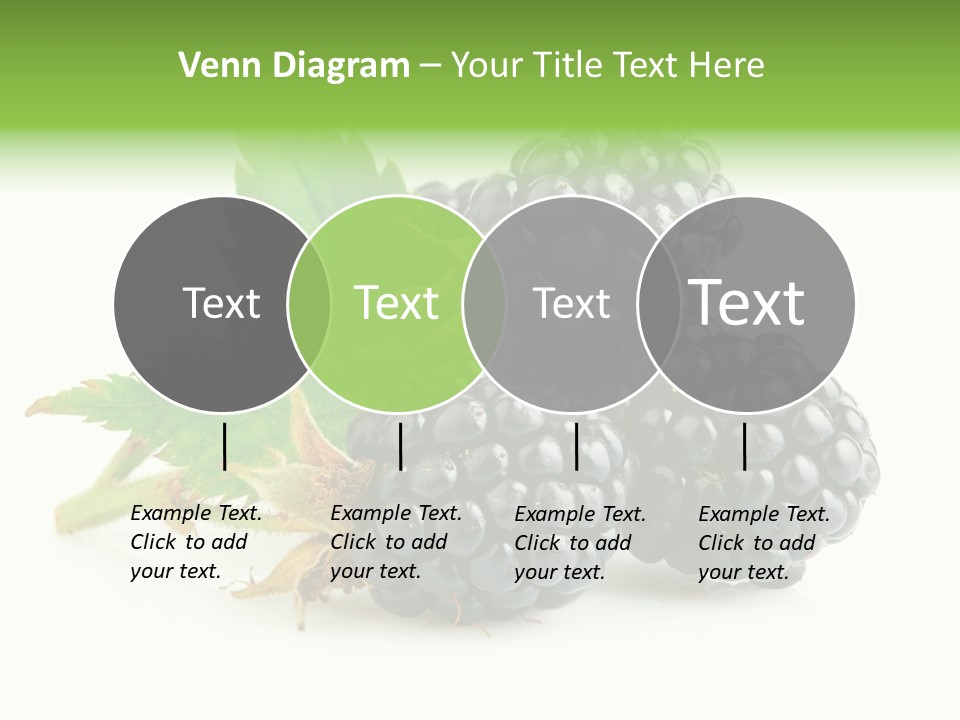 Healthy Eating Black Branch PowerPoint Template