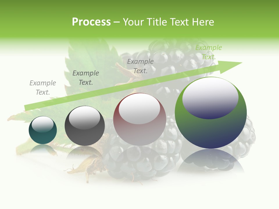 Healthy Eating Black Branch PowerPoint Template