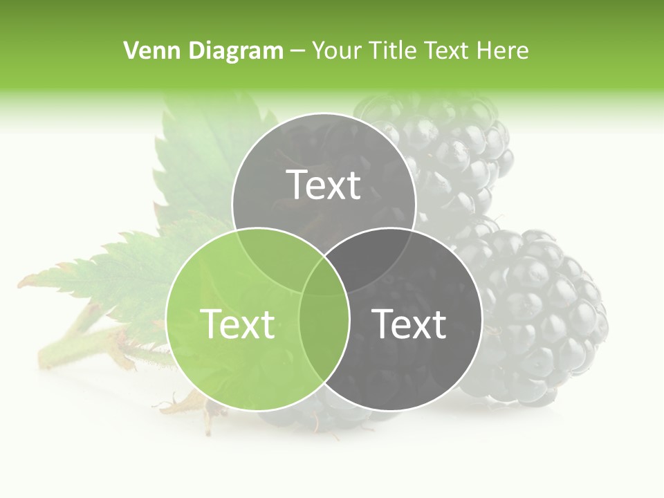 Healthy Eating Black Branch PowerPoint Template