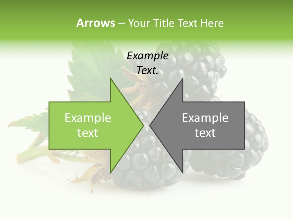 Healthy Eating Black Branch PowerPoint Template