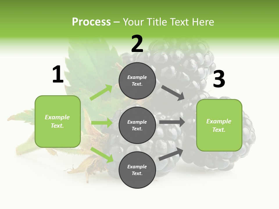 Healthy Eating Black Branch PowerPoint Template
