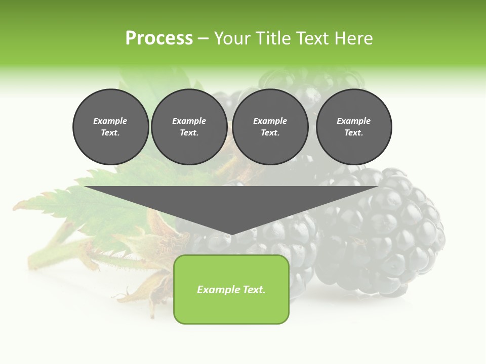 Healthy Eating Black Branch PowerPoint Template