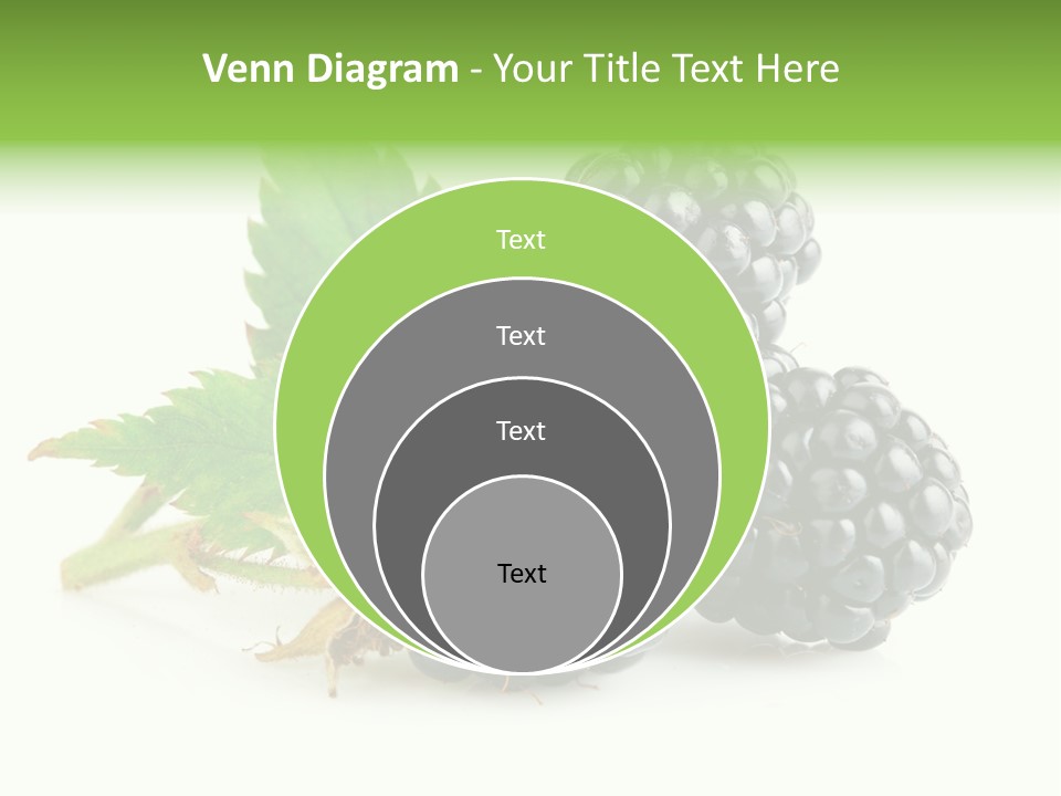 Healthy Eating Black Branch PowerPoint Template