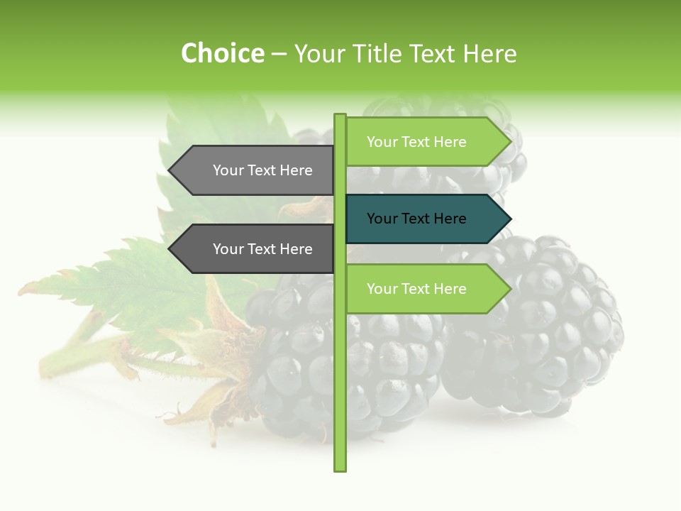 Healthy Eating Black Branch PowerPoint Template