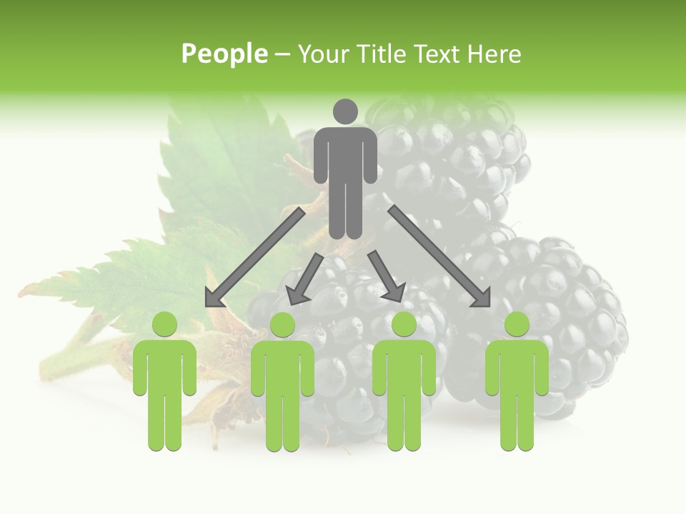 Healthy Eating Black Branch PowerPoint Template