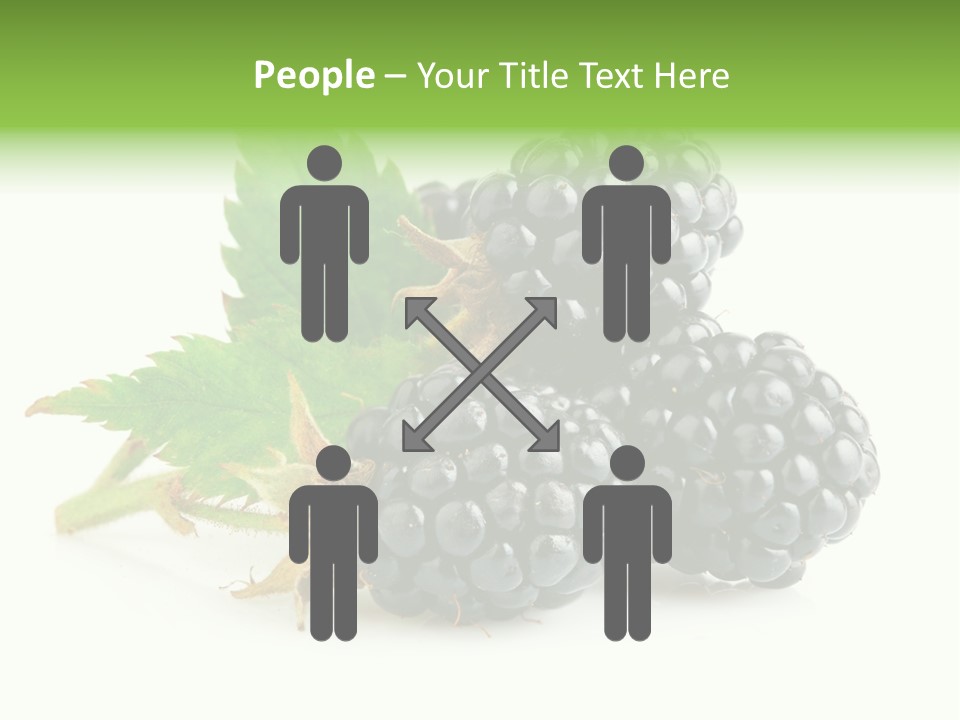 Healthy Eating Black Branch PowerPoint Template